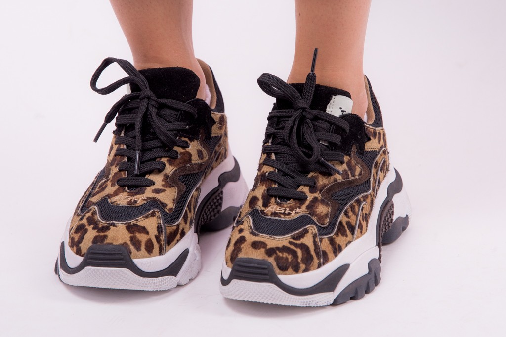 Shoes ASH ADDICT TER COMBO LEOPARD PRINT SNEAKERS