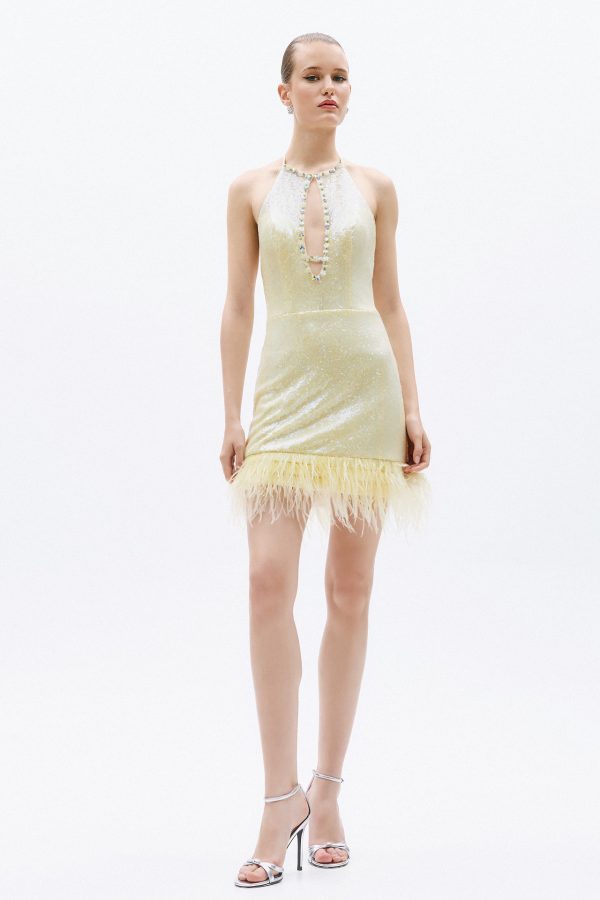 New Collection ALLURE EVENING GLOW SEQUIN MINI DRESS WITH FEATHERS