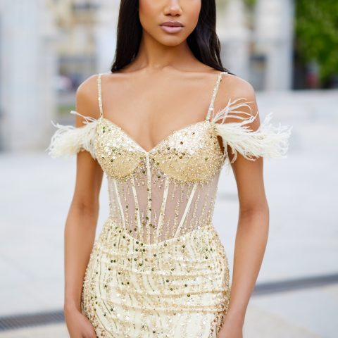 Clothes CHRISTIAN KOEHLERT MERMAID DRESS WITH OFF-THE-SHOULDER FEATHERS