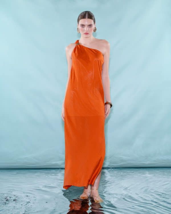 New Collection C. MANOLO MAXI DRESS