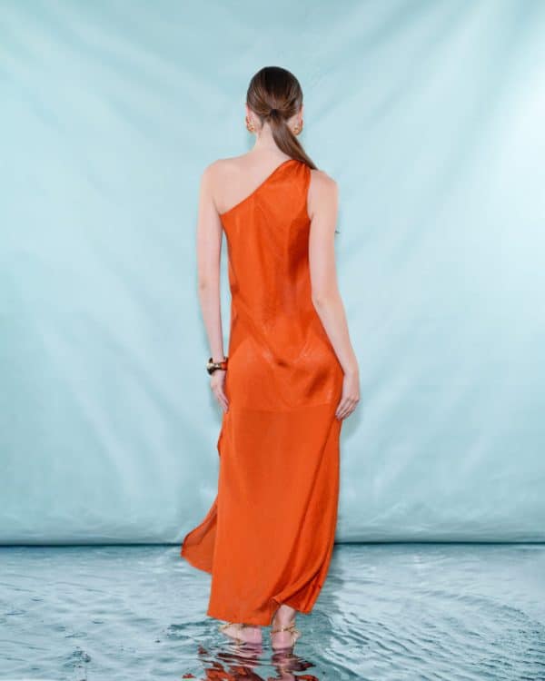 New Collection C. MANOLO MAXI DRESS