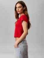 New Collection CALVIN CLEIN JEANS T- SHIRT